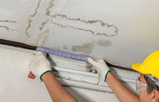 Reliable Water Extraction contractor in Mount Holly, NJ by Water Damage Irwin